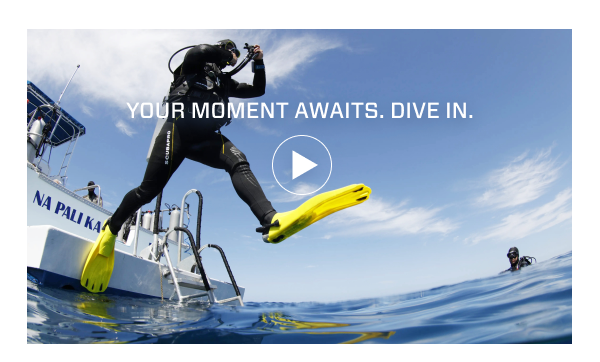 Your Moment Awaits. Dive In